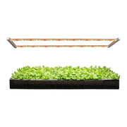 ARZ2H Full Spectrum Vertical Shelf LED Grow Light Suitable for Miniature Vegetable Leafy Vegetable Planting